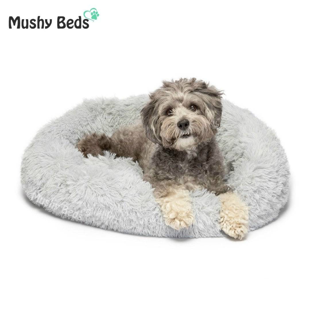 The MushyBed™ - Mushy Beds